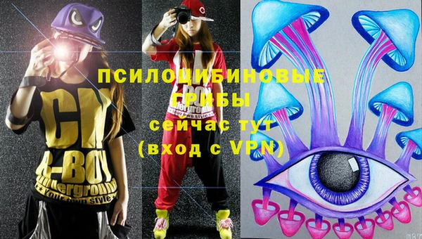 твердый Елабуга