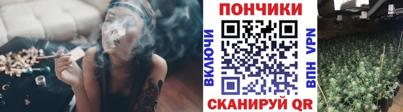 Купить  Афипский  МАРИХУАНА OG Kush 